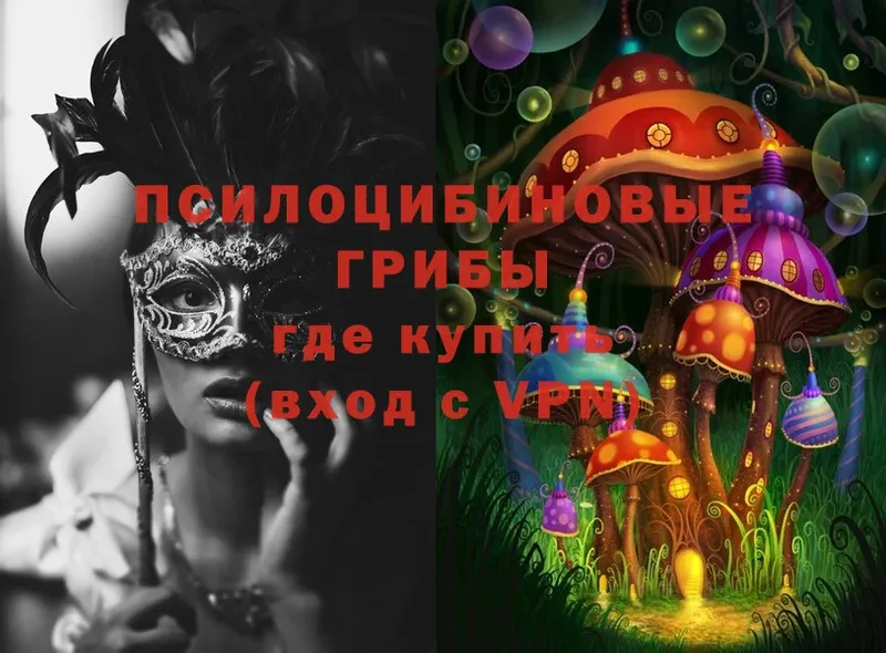 Псилоцибиновые грибы Psilocybe Карабаш